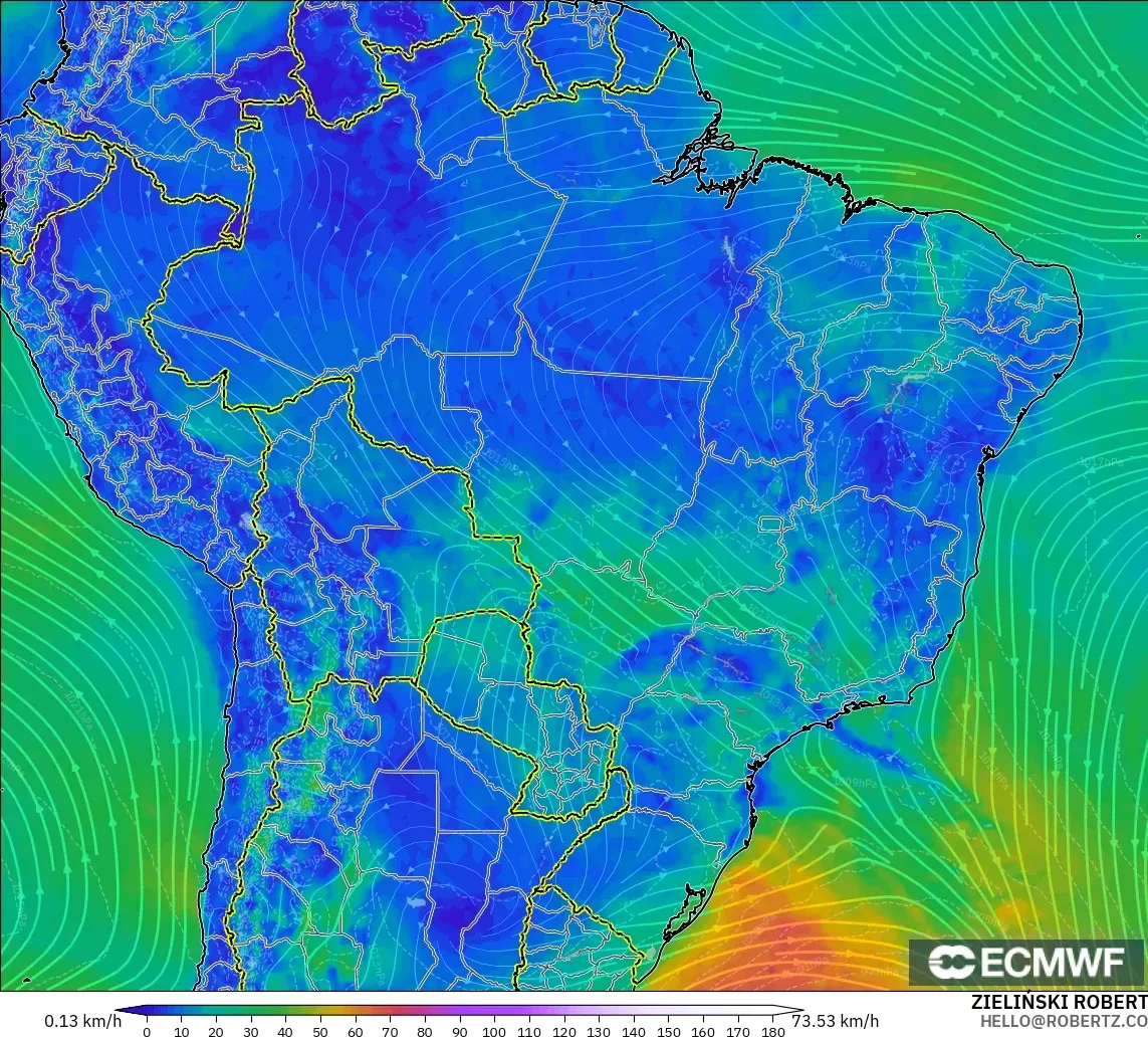 ECMWF IFS 0.25° модель - Бразилия, Жел 10 м